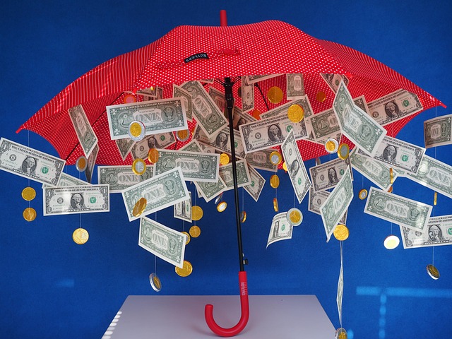 Tip Your Uber or Lyft Driver - image 1 umbrella with falling money