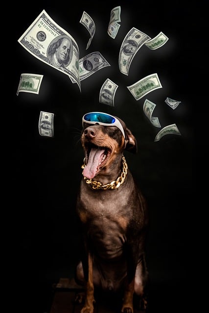 Tipping Uber and Lyft Drivers - image 1 dog with money flying around